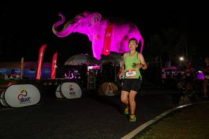 BIB: 
                            <button type="button" onclick="openModal(26535030)" class="btn btn-primary btn-sm float-right btn-popup" data-toggle="modal" data-target=".modal-high-quality">
                        <i class="fas fa-shopping-cart"></i> Add to Cart
                    </button>
                                            <button type="button" onclick="isThisMe(26535030, true)" class="btn btn-success btn-sm float-right btn-popup btn-isme hidden" data-toggle="tooltip" data-placement="bottom" title="นี่คือรูปของคุณใช่ไหม คลิกที่นี่เพื่อเอาเข้าอัลบั้ม">
                        <i class="fas fa-plus"></i> Add to album
                    </button>
                    <button type="button" onclick="isThisMe(26535030, false)" class="btn btn-warning btn-sm float-right btn-popup btn-isnotme hidden">
                        <i class="fas fa-ban"></i> Remove from album
                    </button>